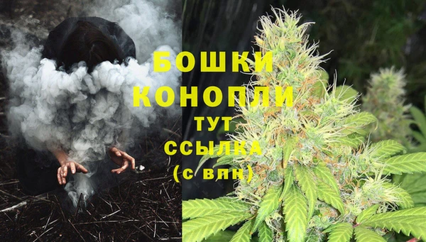 эйфоретик Гусиноозёрск