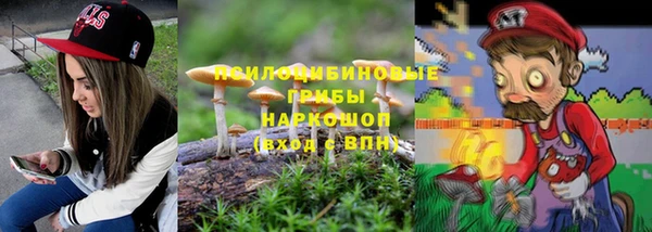 эйфоретик Гусиноозёрск
