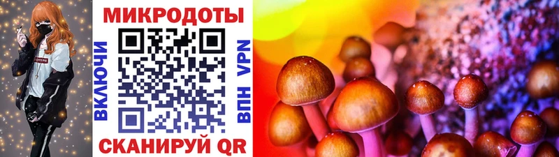 Купить  Конаково  Псилоцибиновые грибы Magic Shrooms 